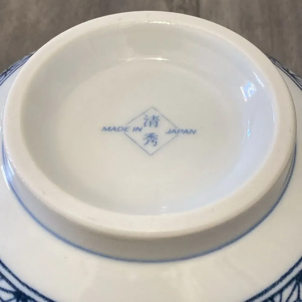 Japanese Donburi Rice Bowl 6